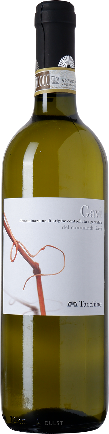 Tacchino | Gavi di Gavi DOCG