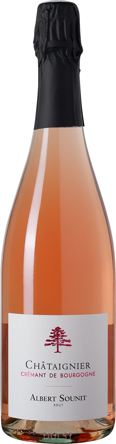 Domaine Albert Sounit rosé - Cuvée Chataignier | Crémant de Bourgogne